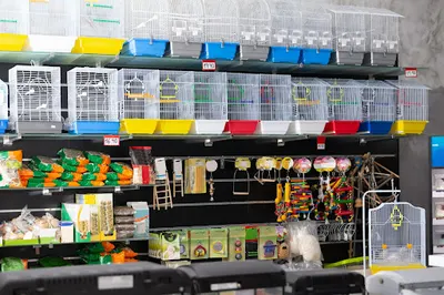 Artykuły zoologiczne Delfin Weronika Szulc